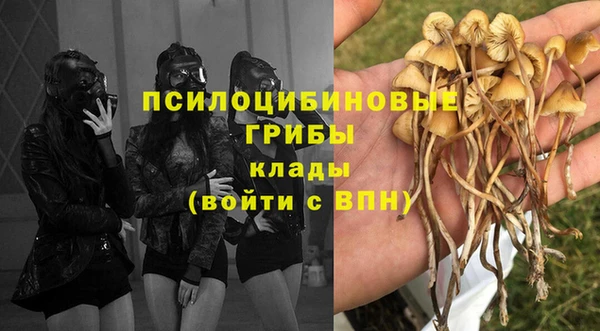 бутират Богородицк