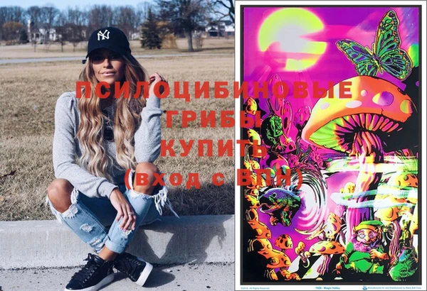 шишки Богданович